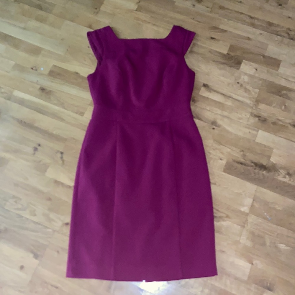 The Limited Fuschia dress